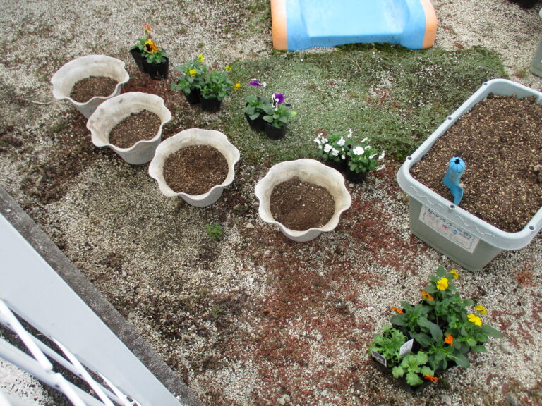 花植え【どんなおはなが咲くのかな？…🌱✨】